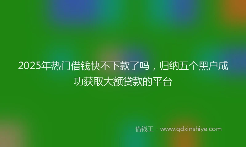 2025年热门借钱快不下款了吗，归纳五个黑户成功获取大额贷款的平台