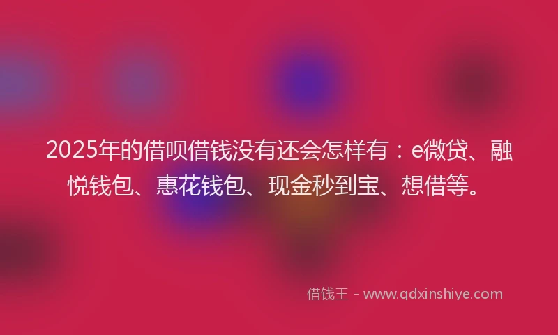 2025年的借呗借钱没有还会怎样有：e微贷、融悦钱包、惠花钱包、现金秒到宝、想借等。