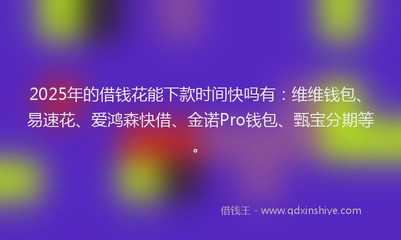2025年的借钱花能下款时间快吗有：维维钱包、易速花、爱鸿森快借、金诺Pro钱包、甄宝分期等。
