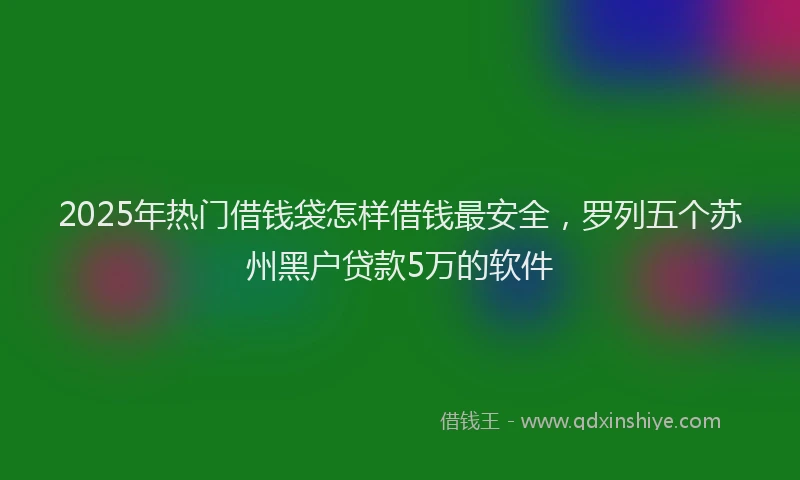 2025年热门借钱袋怎样借钱最安全，罗列五个苏州黑户贷款5万的软件