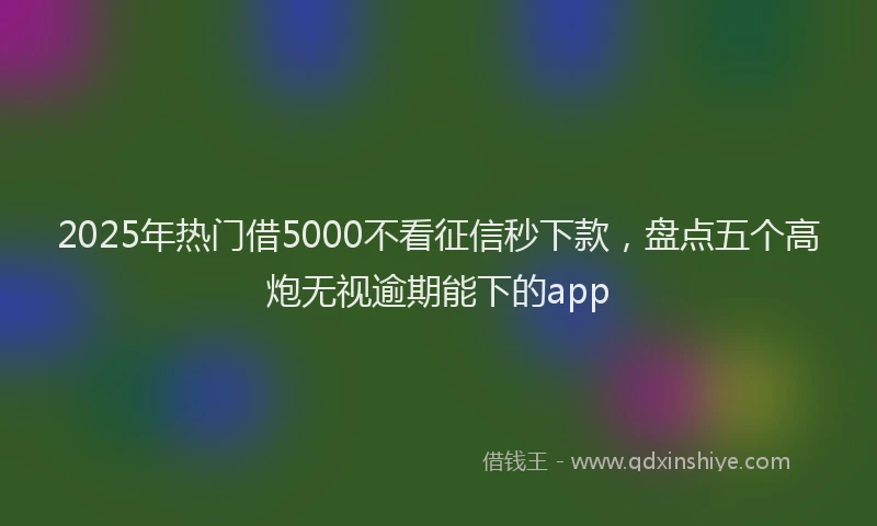 2025年热门借5000不看征信秒下款，盘点五个高炮无视逾期能下的app