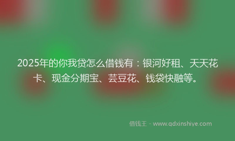 2025年的你我贷怎么借钱有：银河好租、天天花卡、现金分期宝、芸豆花、钱袋快融等。