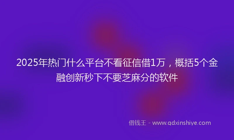 2025年热门什么平台不看征信借1万，概括5个金融创新秒下不要芝麻分的软件