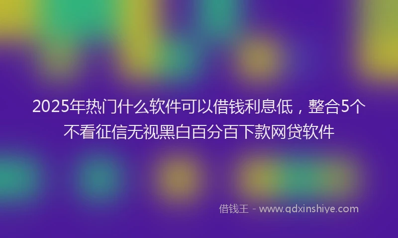2025年热门什么软件可以借钱利息低，整合5个不看征信无视黑白百分百下款网贷软件