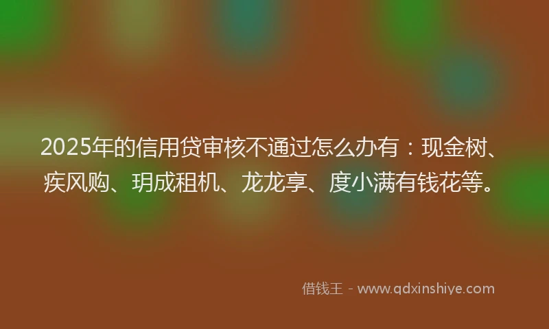 2025年的信用贷审核不通过怎么办有：现金树、疾风购、玥成租机、龙龙享、度小满有钱花等。