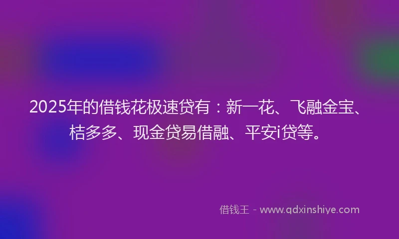2025年的借钱花极速贷有：新一花、飞融金宝、桔多多、现金贷易借融、平安i贷等。