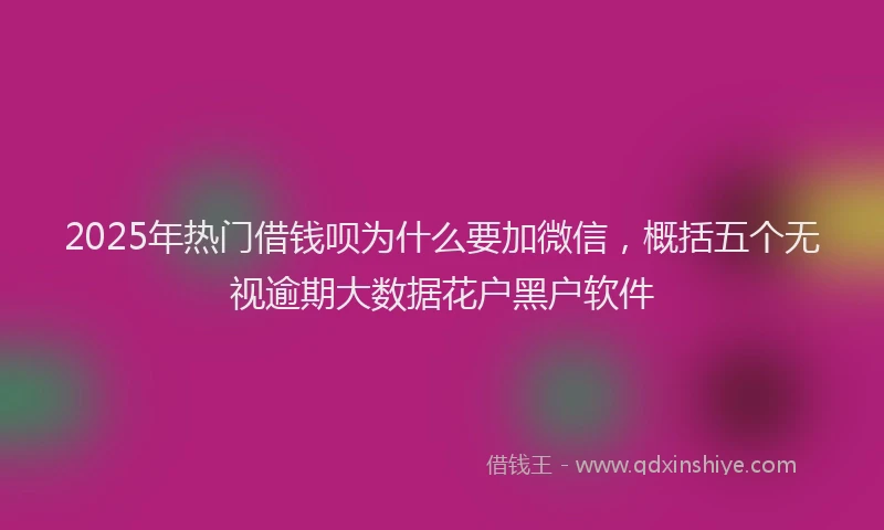 2025年热门借钱呗为什么要加微信，概括五个无视逾期大数据花户黑户软件