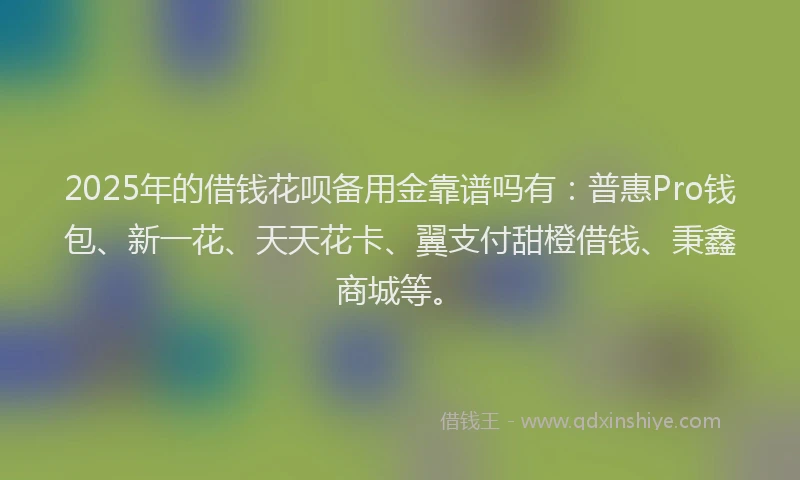 2025年的借钱花呗备用金靠谱吗有：普惠Pro钱包、新一花、天天花卡、翼支付甜橙借钱、秉鑫商城等。