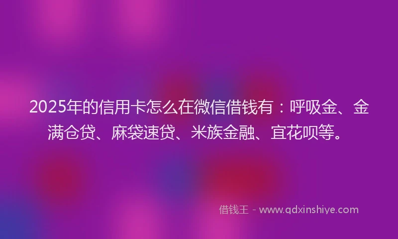 2025年的信用卡怎么在微信借钱有：呼吸金、金满仓贷、麻袋速贷、米族金融、宜花呗等。