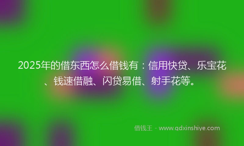 2025年的借东西怎么借钱有：信用快贷、乐宝花、钱速借融、闪贷易借、射手花等。