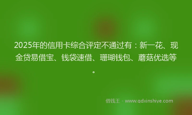 2025年的信用卡综合评定不通过有：新一花、现金贷易借宝、钱袋速借、珊瑚钱包、蘑菇优选等。