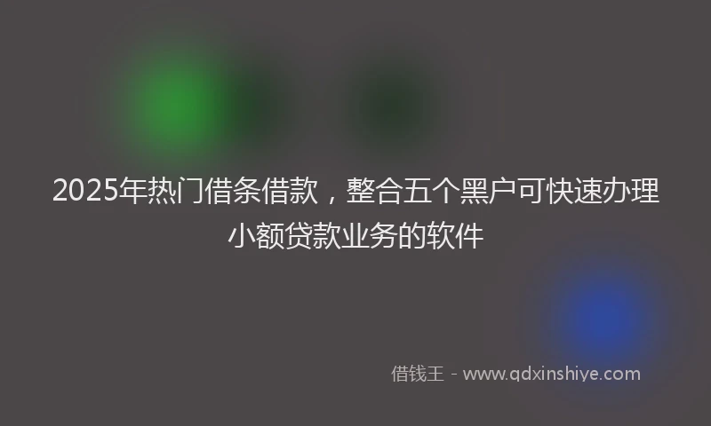2025年热门借条借款，整合五个黑户可快速办理小额贷款业务的软件