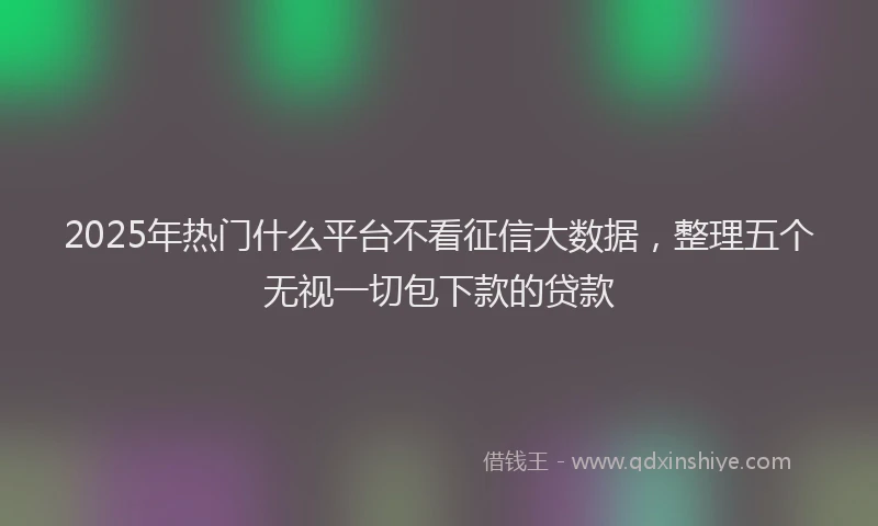 2025年热门什么平台不看征信大数据，整理五个无视一切包下款的贷款