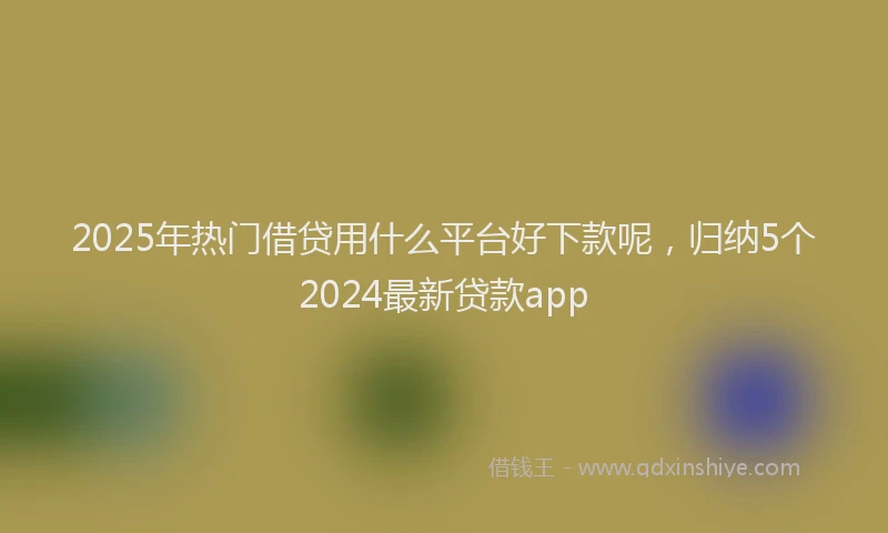 2025年热门借贷用什么平台好下款呢，归纳5个2024最新贷款app
