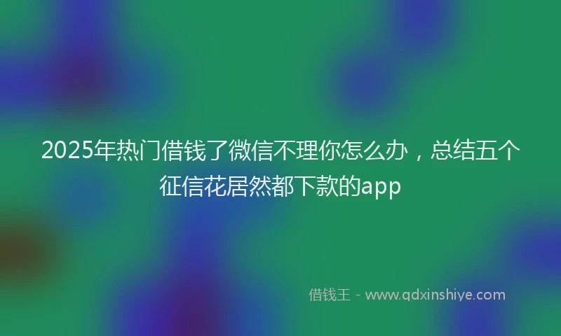 2025年热门借钱了微信不理你怎么办，总结五个征信花居然都下款的app