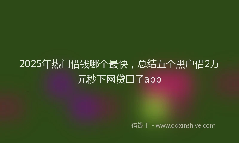 2025年热门借钱哪个最快，总结五个黑户借2万元秒下网贷口子app
