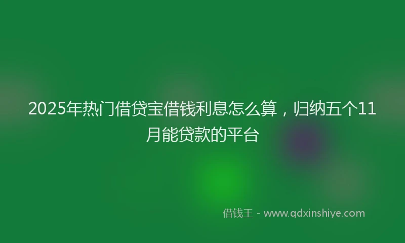 2025年热门借贷宝借钱利息怎么算，归纳五个11月能贷款的平台