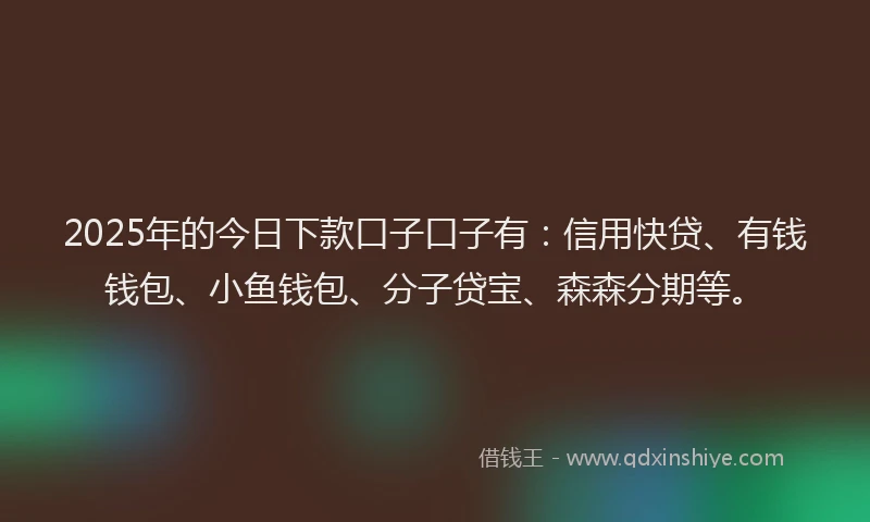 2025年的今日下款口子口子有：信用快贷、有钱钱包、小鱼钱包、分子贷宝、森森分期等。