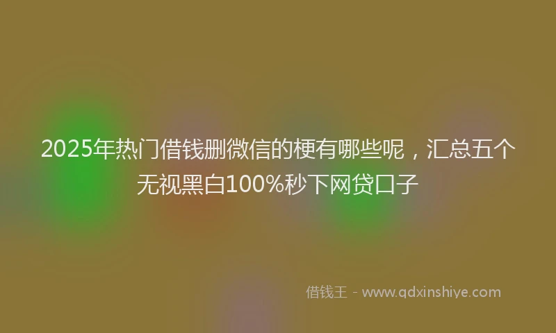 2025年热门借钱删微信的梗有哪些呢，汇总五个无视黑白100%秒下网贷口子