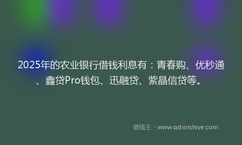 2025年的农业银行借钱利息有：青春购、优秒通、鑫贷Pro钱包、迅融贷、紫晶信贷等。
