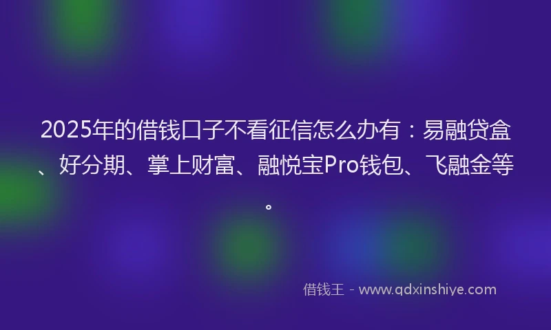 2025年的借钱口子不看征信怎么办有：易融贷盒、好分期、掌上财富、融悦宝Pro钱包、飞融金等。