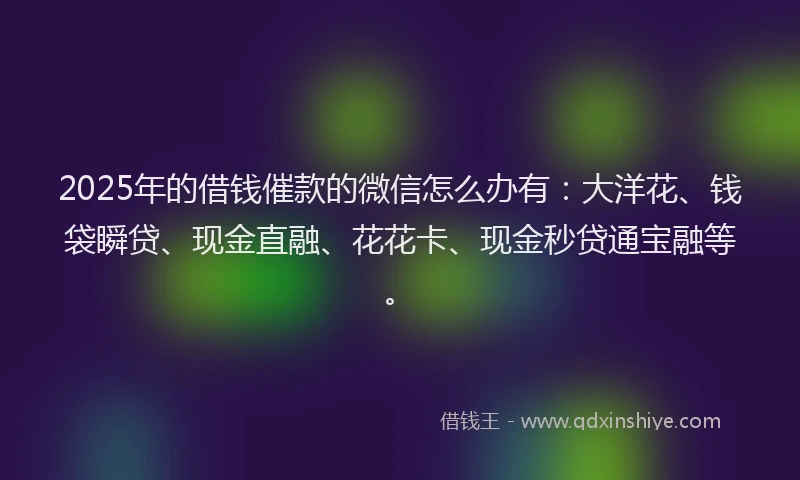 2025年的借钱催款的微信怎么办有：大洋花、钱袋瞬贷、现金直融、花花卡、现金秒贷通宝融等。