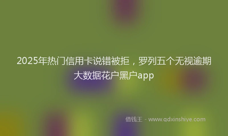 2025年热门信用卡说错被拒，罗列五个无视逾期大数据花户黑户app