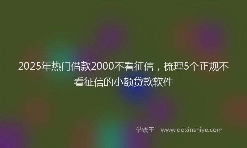 2025年热门借款2000不看征信，梳理5个正规不看征信的小额贷款软件