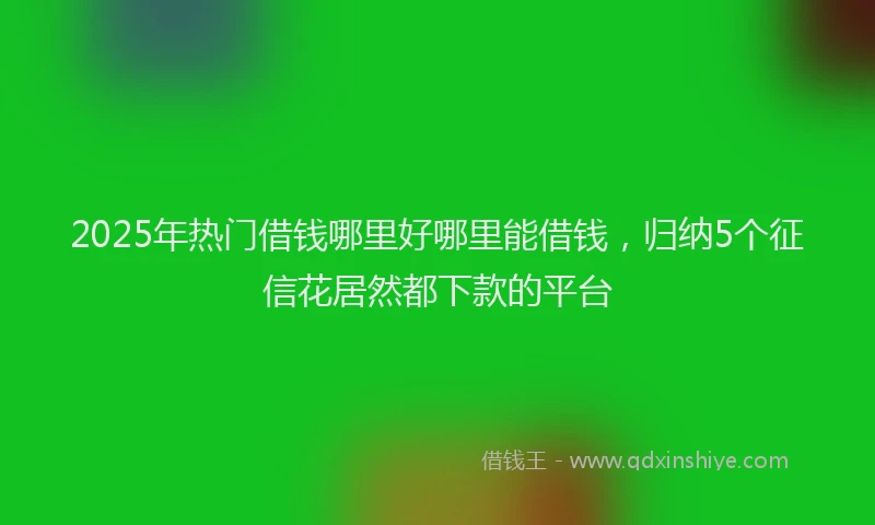 2025年热门借钱哪里好哪里能借钱，归纳5个征信花居然都下款的平台