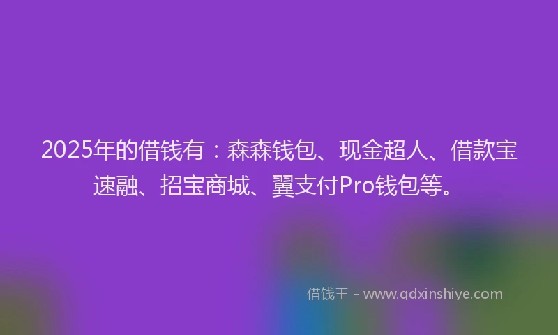 2025年的借钱有：森森钱包、现金超人、借款宝速融、招宝商城、翼支付Pro钱包等。