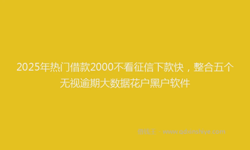 2025年热门借款2000不看征信下款快，整合五个无视逾期大数据花户黑户软件