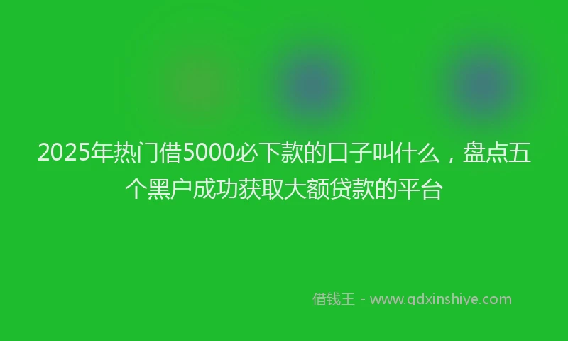 2025年热门借5000必下款的口子叫什么，盘点五个黑户成功获取大额贷款的平台