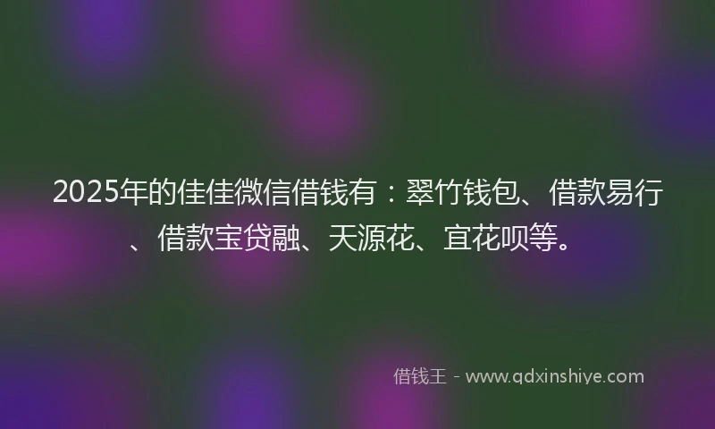2025年的佳佳微信借钱有：翠竹钱包、借款易行、借款宝贷融、天源花、宜花呗等。