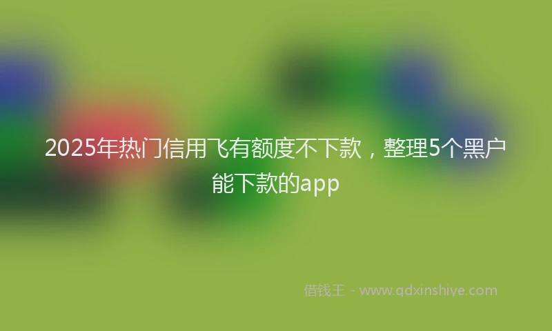 2025年热门信用飞有额度不下款，整理5个黑户能下款的app
