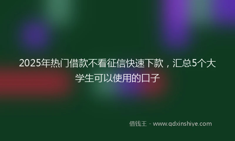 2025年热门借款不看征信快速下款，汇总5个大学生可以使用的口子