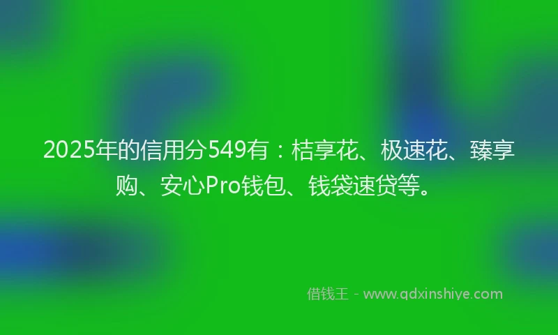 2025年的信用分549有：桔享花、极速花、臻享购、安心Pro钱包、钱袋速贷等。