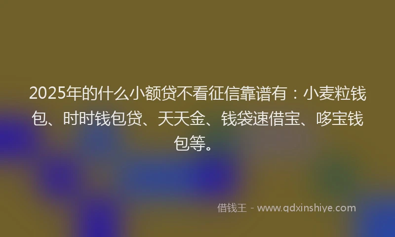2025年的什么小额贷不看征信靠谱有：小麦粒钱包、时时钱包贷、天天金、钱袋速借宝、哆宝钱包等。