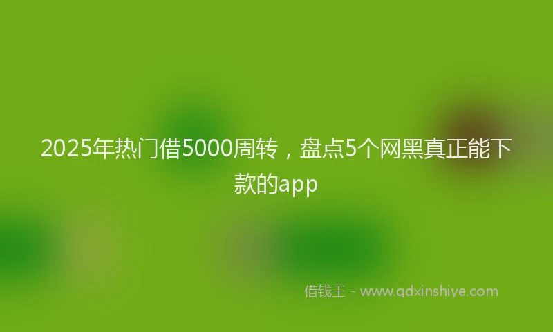 2025年热门借5000周转，盘点5个网黑真正能下款的app