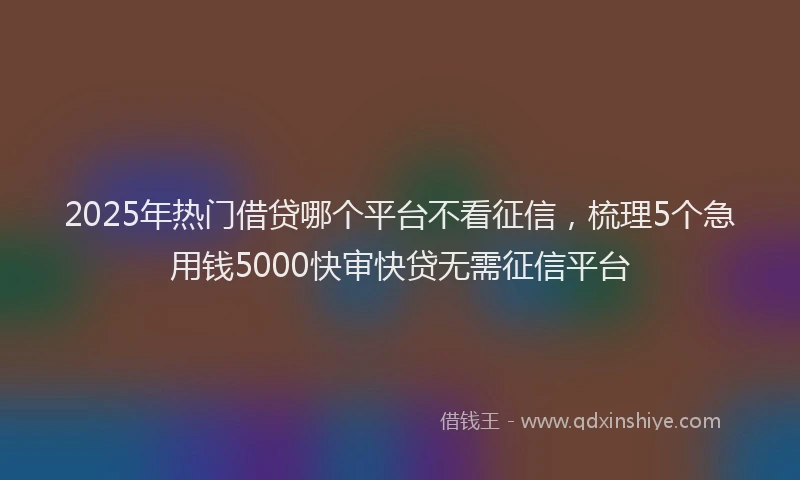 2025年热门借贷哪个平台不看征信，梳理5个急用钱5000快审快贷无需征信平台