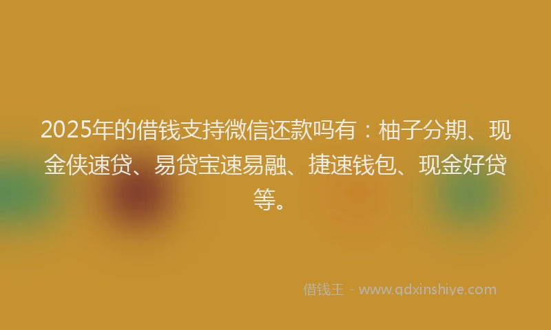2025年的借钱支持微信还款吗有：柚子分期、现金侠速贷、易贷宝速易融、捷速钱包、现金好贷等。