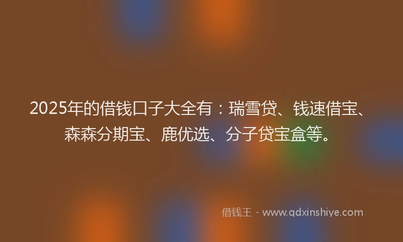 2025年的借钱口子大全有：瑞雪贷、钱速借宝、森森分期宝、鹿优选、分子贷宝盒等。