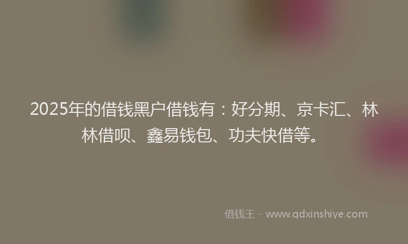 2025年的借钱黑户借钱有：好分期、京卡汇、林林借呗、鑫易钱包、功夫快借等。