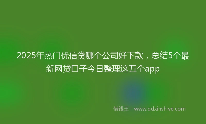 2025年热门优信贷哪个公司好下款，总结5个最新网贷口子今日整理这五个app