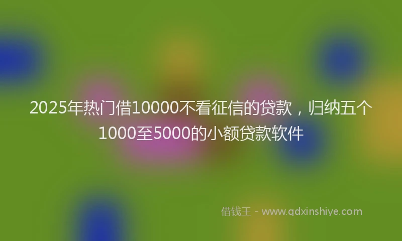 2025年热门借10000不看征信的贷款，归纳五个1000至5000的小额贷款软件