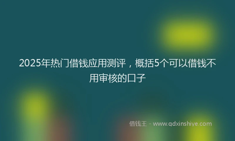 2025年热门借钱应用测评，概括5个可以借钱不用审核的口子