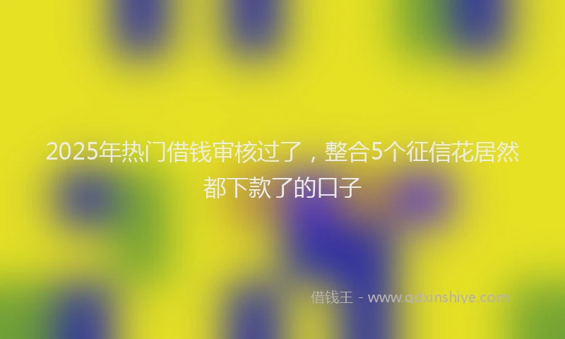 2025年热门借钱审核过了，整合5个征信花居然都下款了的口子