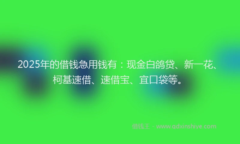 2025年的借钱急用钱有：现金白鸽贷、新一花、柯基速借、速借宝、宜口袋等。