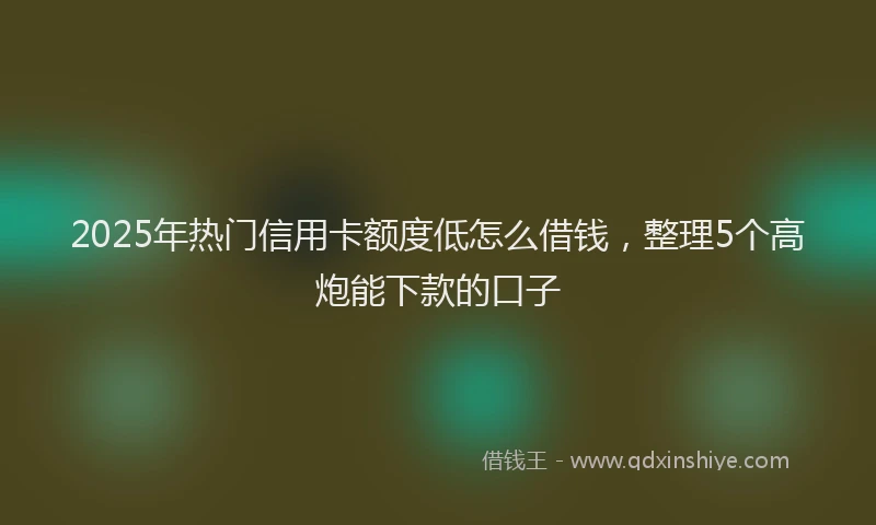 2025年热门信用卡额度低怎么借钱，整理5个高炮能下款的口子