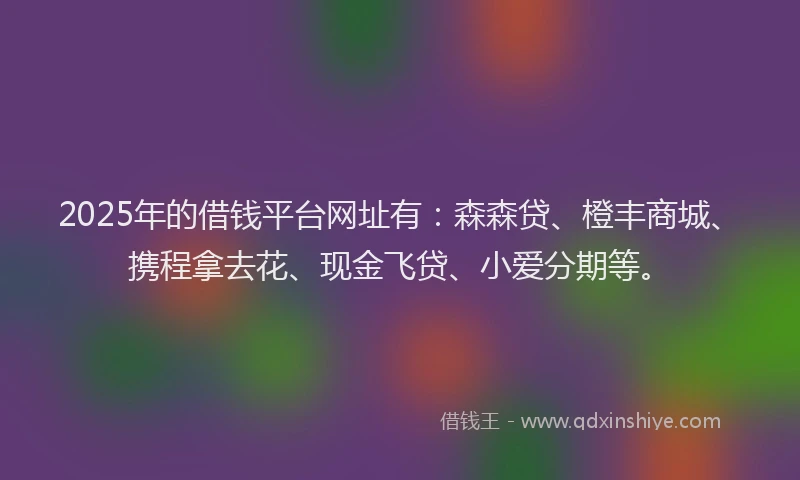 2025年的借钱平台网址有：森森贷、橙丰商城、携程拿去花、现金飞贷、小爱分期等。