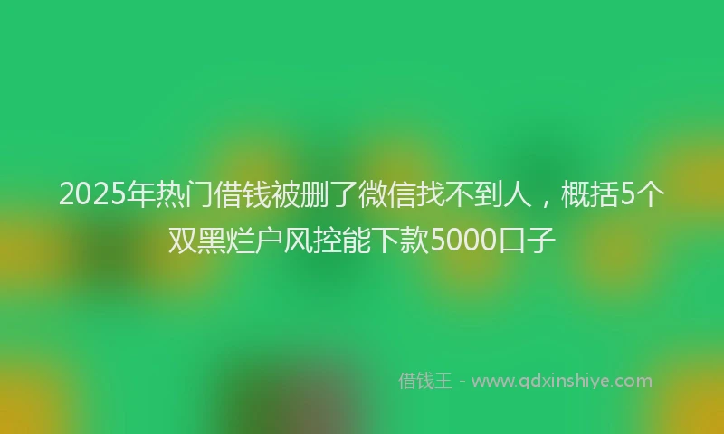 2025年热门借钱被删了微信找不到人，概括5个双黑烂户风控能下款5000口子
